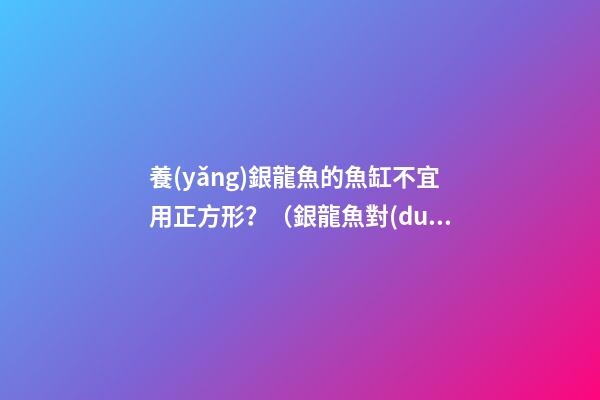 養(yǎng)銀龍魚的魚缸不宜用正方形？（銀龍魚對(duì)魚缸的要求）