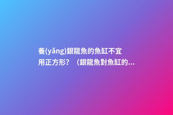 養(yǎng)銀龍魚的魚缸不宜用正方形？（銀龍魚對魚缸的要求）