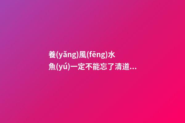 養(yǎng)風(fēng)水魚(yú)一定不能忘了清道夫魚(yú)（清道夫魚(yú)是風(fēng)水魚(yú)嗎）