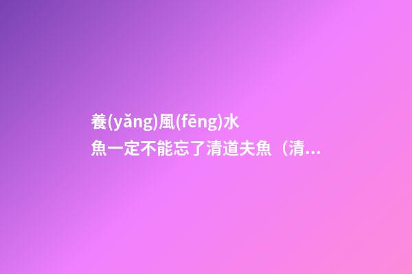 養(yǎng)風(fēng)水魚一定不能忘了清道夫魚（清道夫魚是風(fēng)水魚嗎）