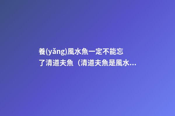 養(yǎng)風水魚一定不能忘了清道夫魚（清道夫魚是風水魚嗎）