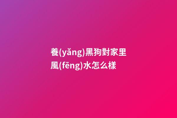 養(yǎng)黑狗對家里風(fēng)水怎么樣