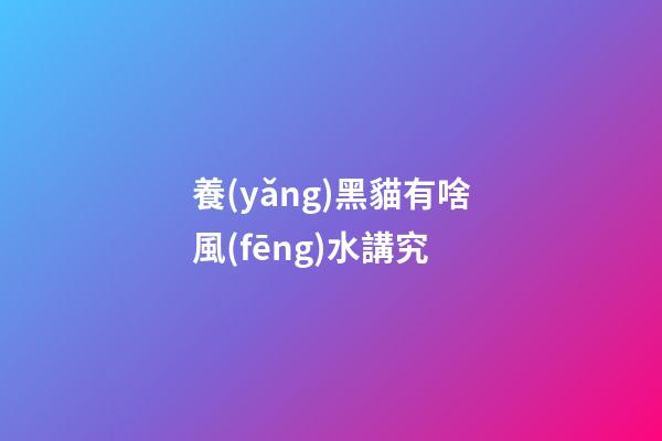 養(yǎng)黑貓有啥風(fēng)水講究
