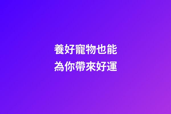 養好寵物也能為你帶來好運