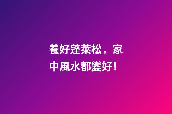 養好蓬萊松，家中風水都變好！