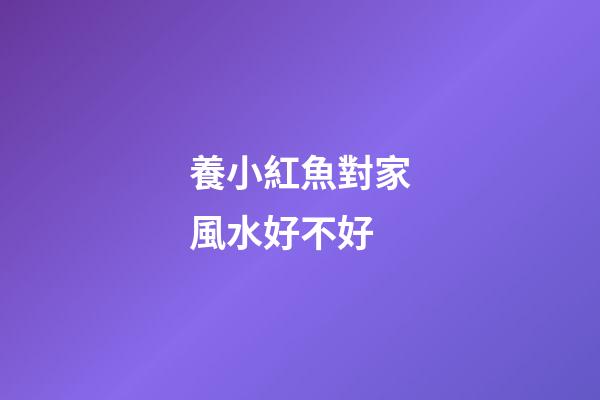 養小紅魚對家風水好不好