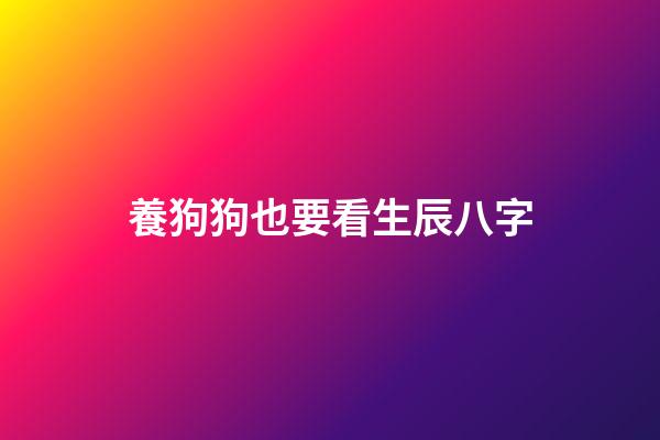 養狗狗也要看生辰八字