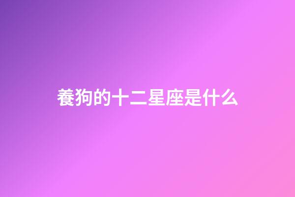 養狗的十二星座是什么-第1張-星座運勢-玄機派