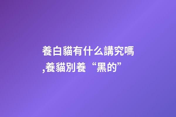 養白貓有什么講究嗎,養貓別養“黑的”-第1張-觀點-玄機派