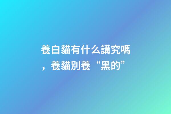 養白貓有什么講究嗎，養貓別養“黑的”-第1張-觀點-玄機派
