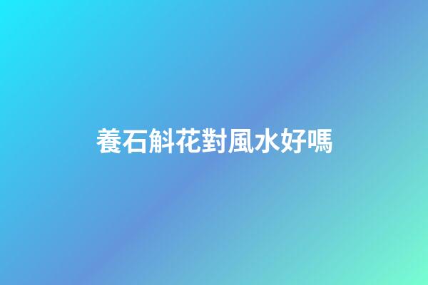 養石斛花對風水好嗎