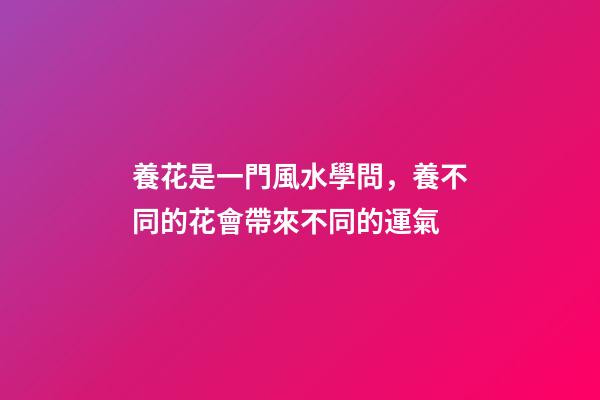 養花是一門風水學問，養不同的花會帶來不同的運氣