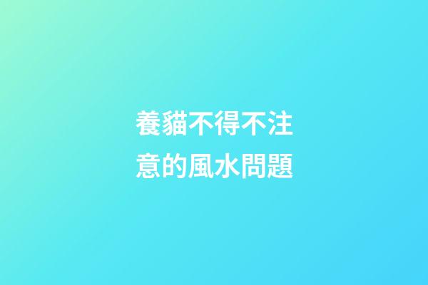 養貓不得不注意的風水問題
