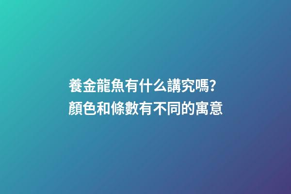 養金龍魚有什么講究嗎？顏色和條數有不同的寓意