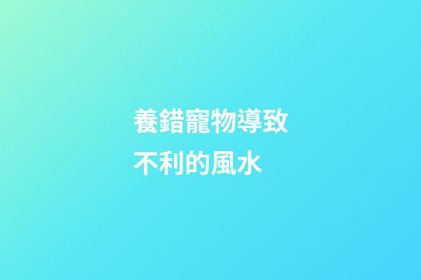 養錯寵物導致不利的風水