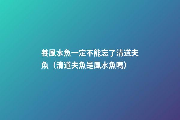 養風水魚一定不能忘了清道夫魚（清道夫魚是風水魚嗎）