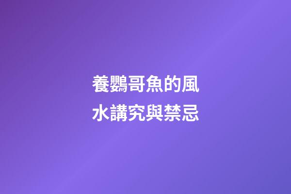 養鸚哥魚的風水講究與禁忌