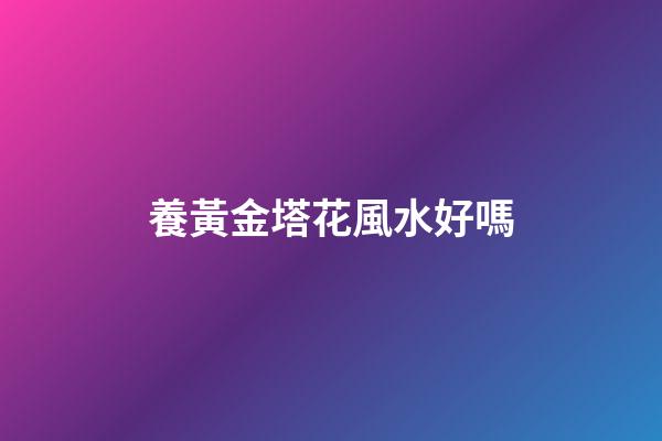 養黃金塔花風水好嗎
