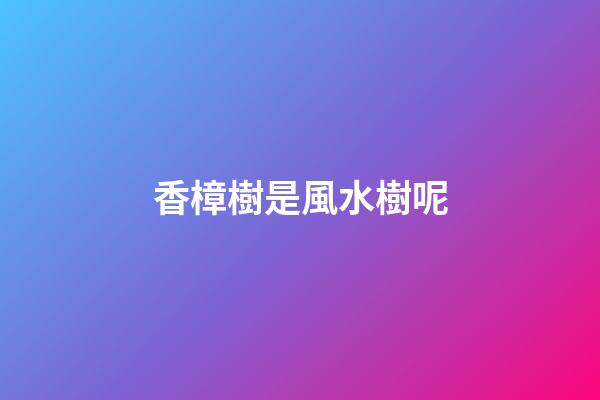 香樟樹是風水樹呢