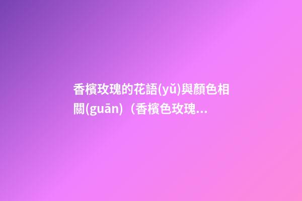 香檳玫瑰的花語(yǔ)與顏色相關(guān)（香檳色玫瑰花語(yǔ)顏色代表什么）