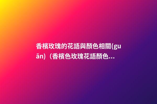 香檳玫瑰的花語與顏色相關(guān)（香檳色玫瑰花語顏色代表什么）