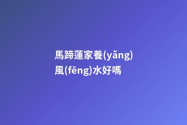馬蹄蓮家養(yǎng)風(fēng)水好嗎