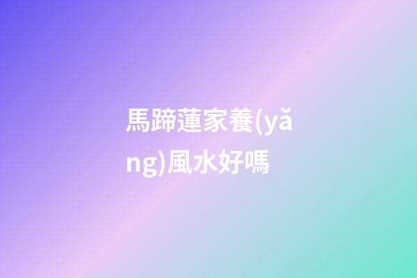 馬蹄蓮家養(yǎng)風水好嗎