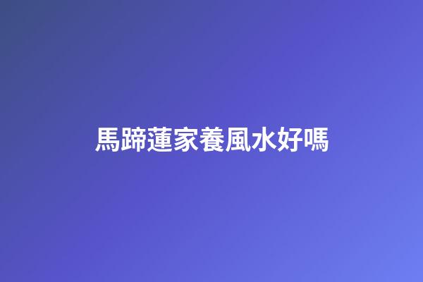 馬蹄蓮家養風水好嗎