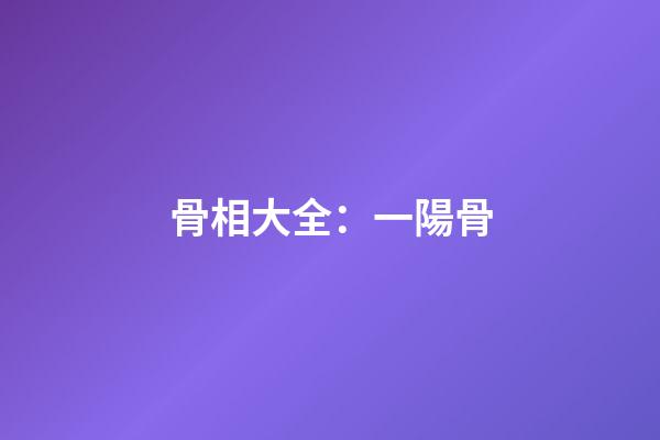 骨相大全：一陽骨