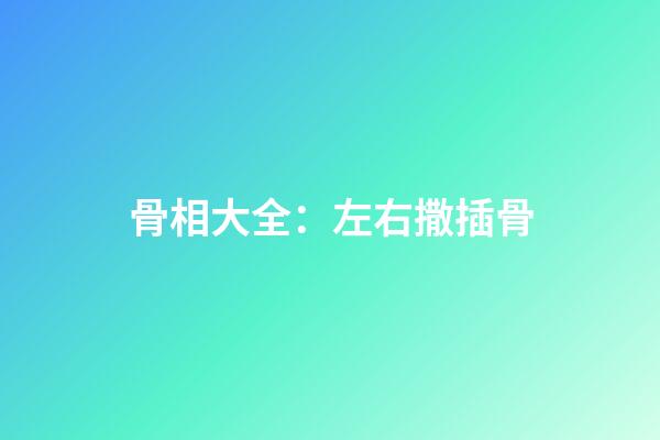 骨相大全：左右撒插骨