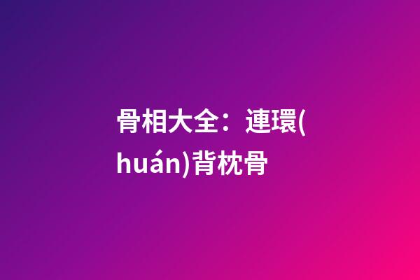 骨相大全：連環(huán)背枕骨