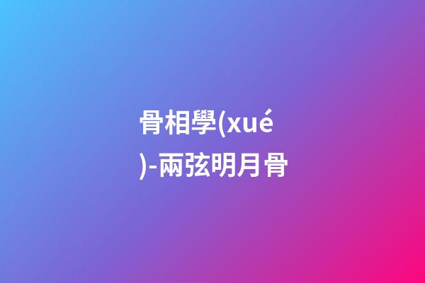 骨相學(xué)-兩弦明月骨