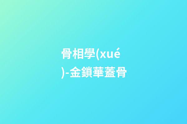 骨相學(xué)-金鎖華蓋骨