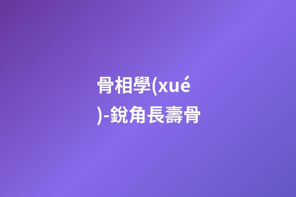 骨相學(xué)-銳角長壽骨