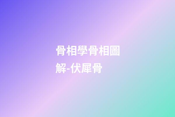 骨相學骨相圖解-伏犀骨