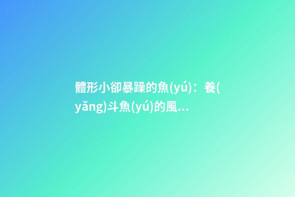 體形小卻暴躁的魚(yú)：養(yǎng)斗魚(yú)的風(fēng)水如何