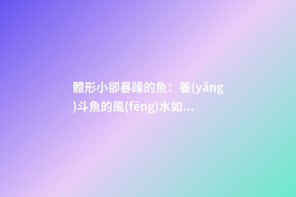 體形小卻暴躁的魚：養(yǎng)斗魚的風(fēng)水如何
