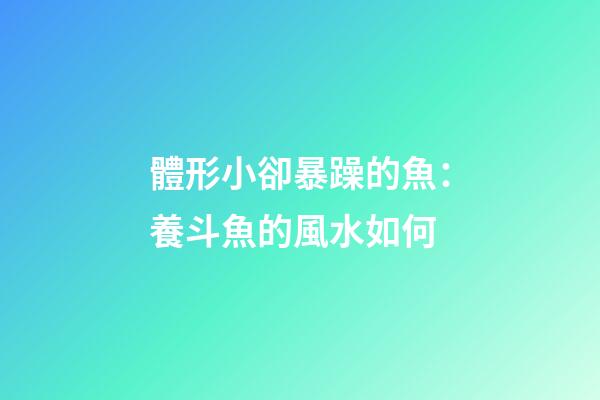 體形小卻暴躁的魚：養斗魚的風水如何