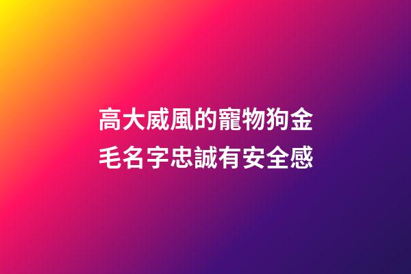 高大威風的寵物狗金毛名字忠誠有安全感