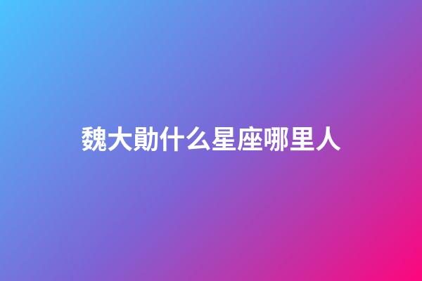 魏大勛什么星座哪里人-第1張-星座運勢-玄機派
