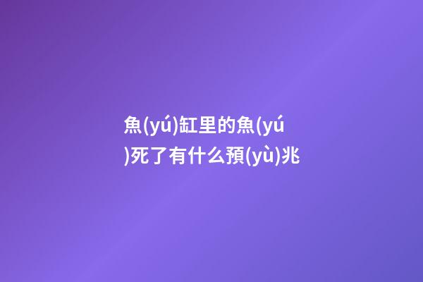 魚(yú)缸里的魚(yú)死了有什么預(yù)兆