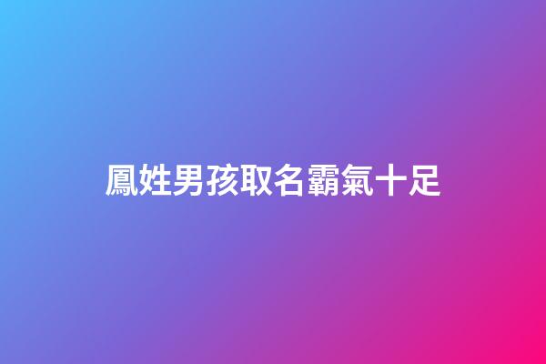 鳳姓男孩取名霸氣十足(鳳姓好聽的名字)-第1張-男孩起名-玄機派