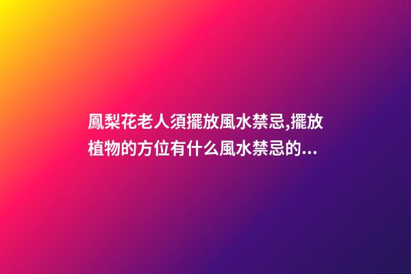 鳳梨花老人須擺放風水禁忌,擺放植物的方位有什么風水禁忌的呢