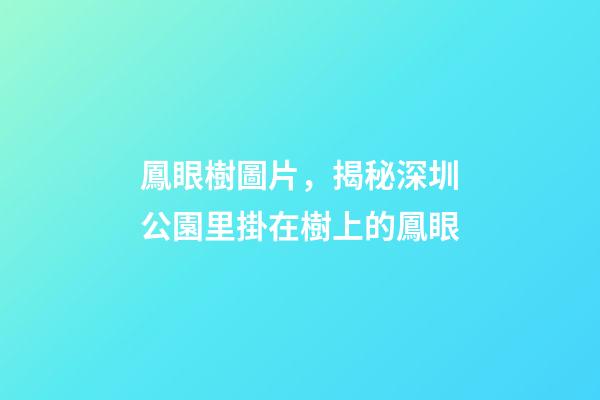 鳳眼樹圖片，揭秘深圳公園里掛在樹上的鳳眼-第1張-觀點(diǎn)-玄機(jī)派