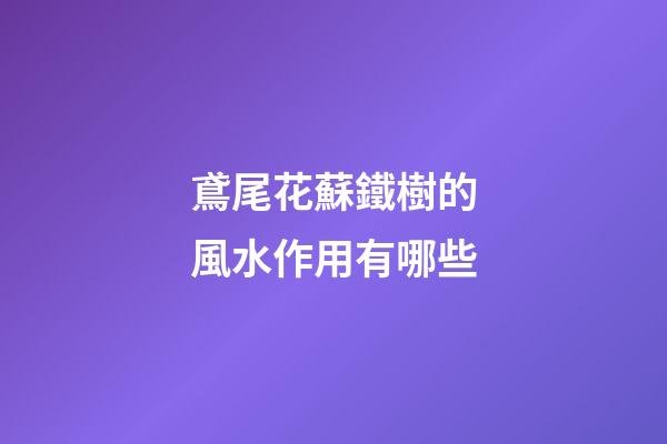 鳶尾花蘇鐵樹的風水作用有哪些?