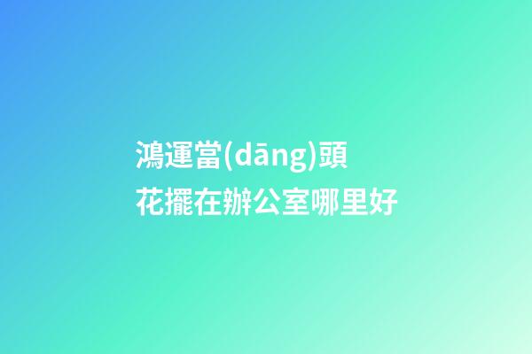 鴻運當(dāng)頭花擺在辦公室哪里好