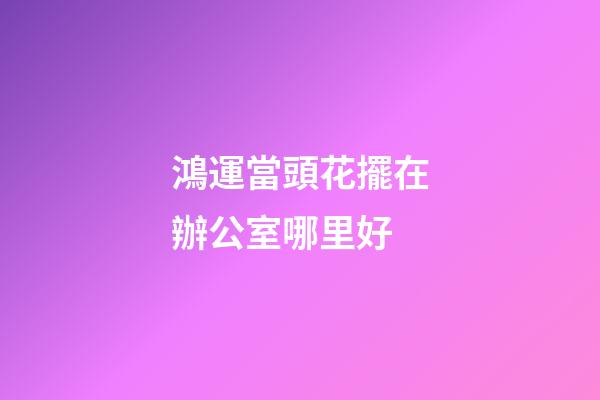 鴻運當頭花擺在辦公室哪里好