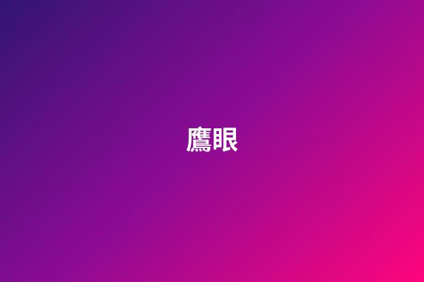 鷹眼