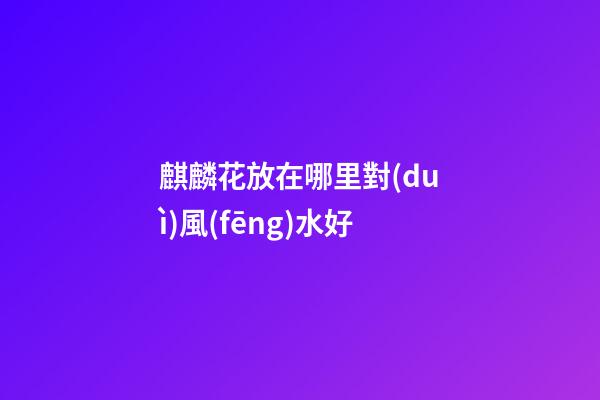麒麟花放在哪里對(duì)風(fēng)水好