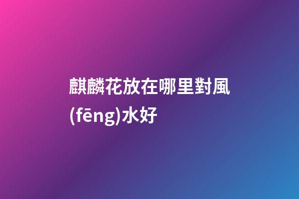 麒麟花放在哪里對風(fēng)水好